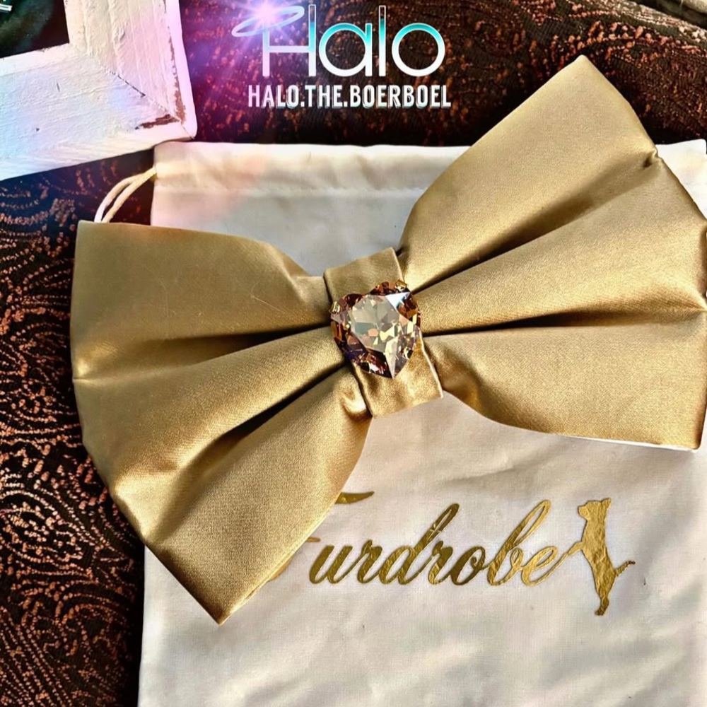 Furdrobe Midas Collection Gold & Cream Reversible Bow.